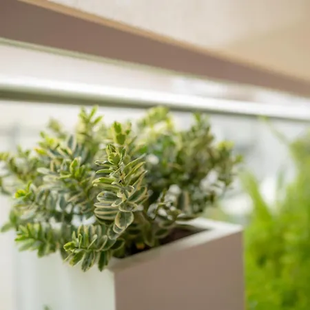 Urban Mood - Pieno Centro , Mare , Parcheggio A Pochi Passi- Appartamento