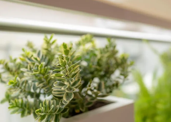 Urban Mood Centro-mare-parcheggio Gratuito-smart Self Check In 24h アパート